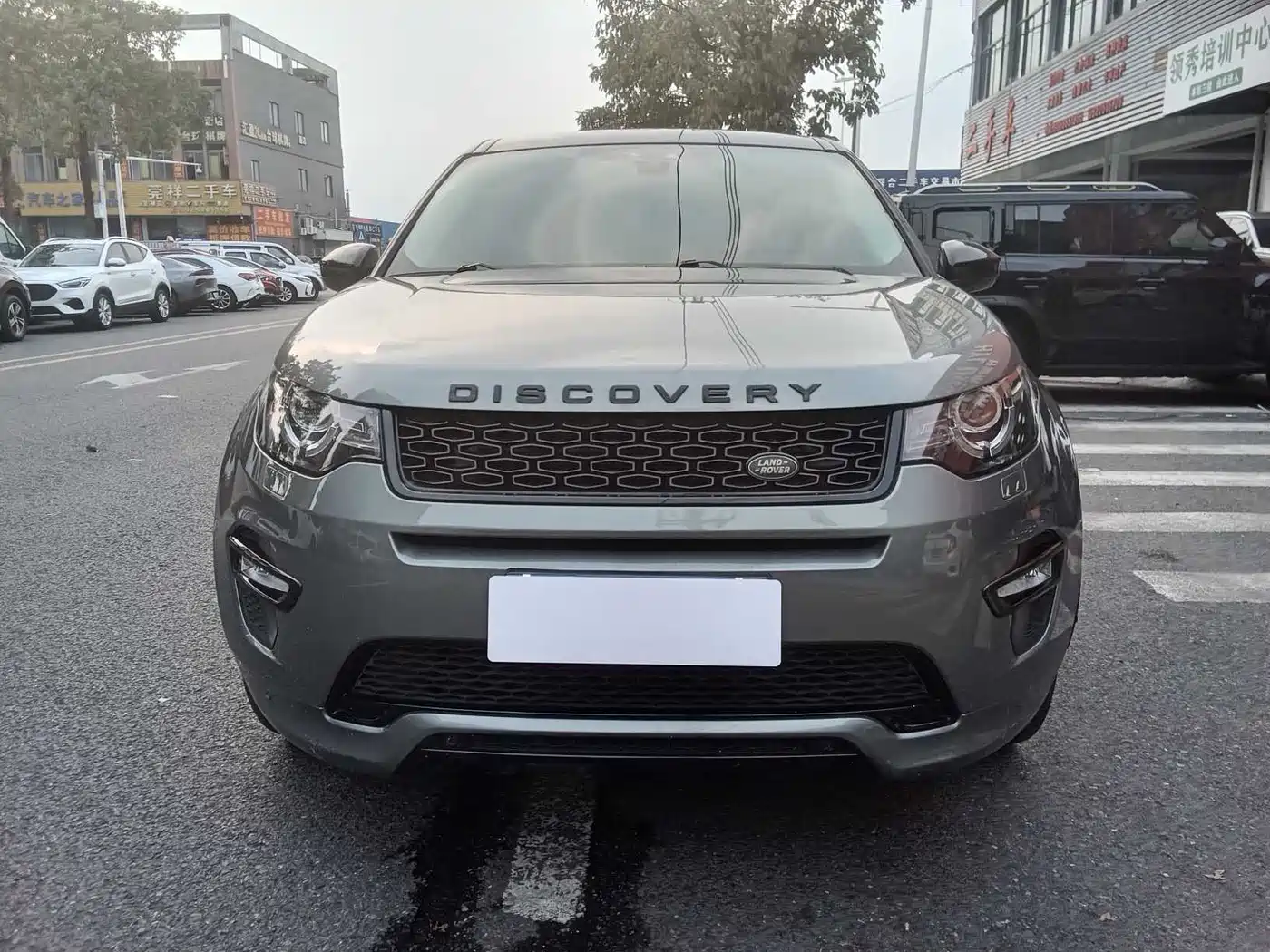 Land Rover Discovery Sport 2019 240PS SE Dynamic Edition China V фото 2