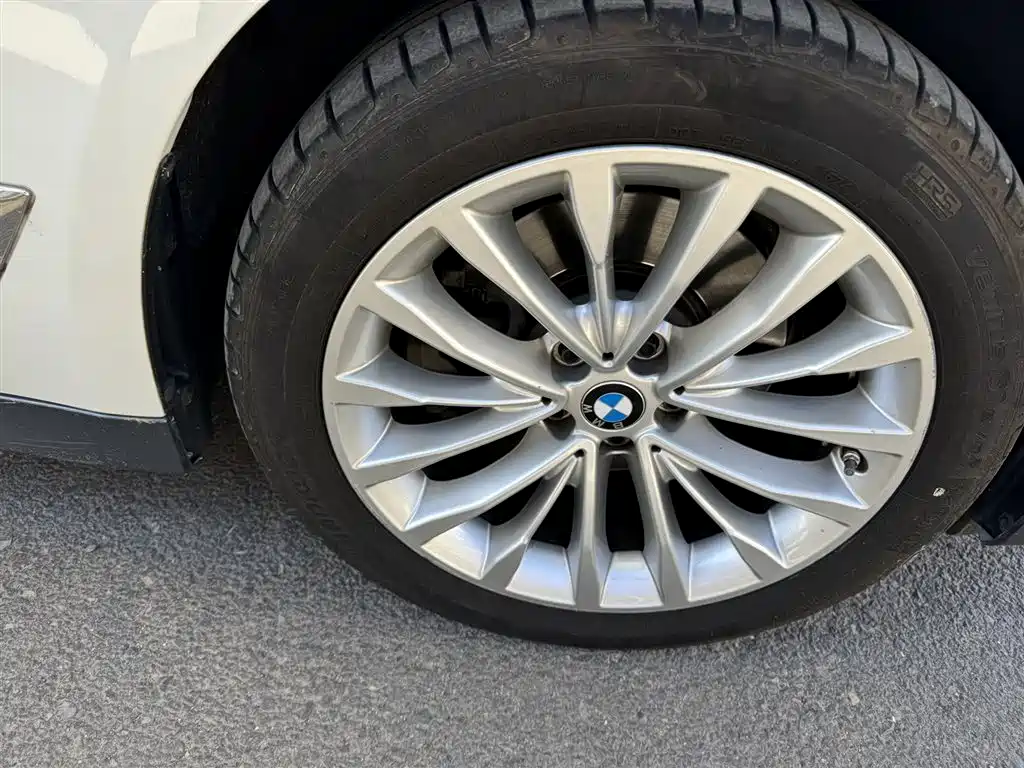 BMW 5 Series 2021 Facelift 525Li Luxury Package фото 5