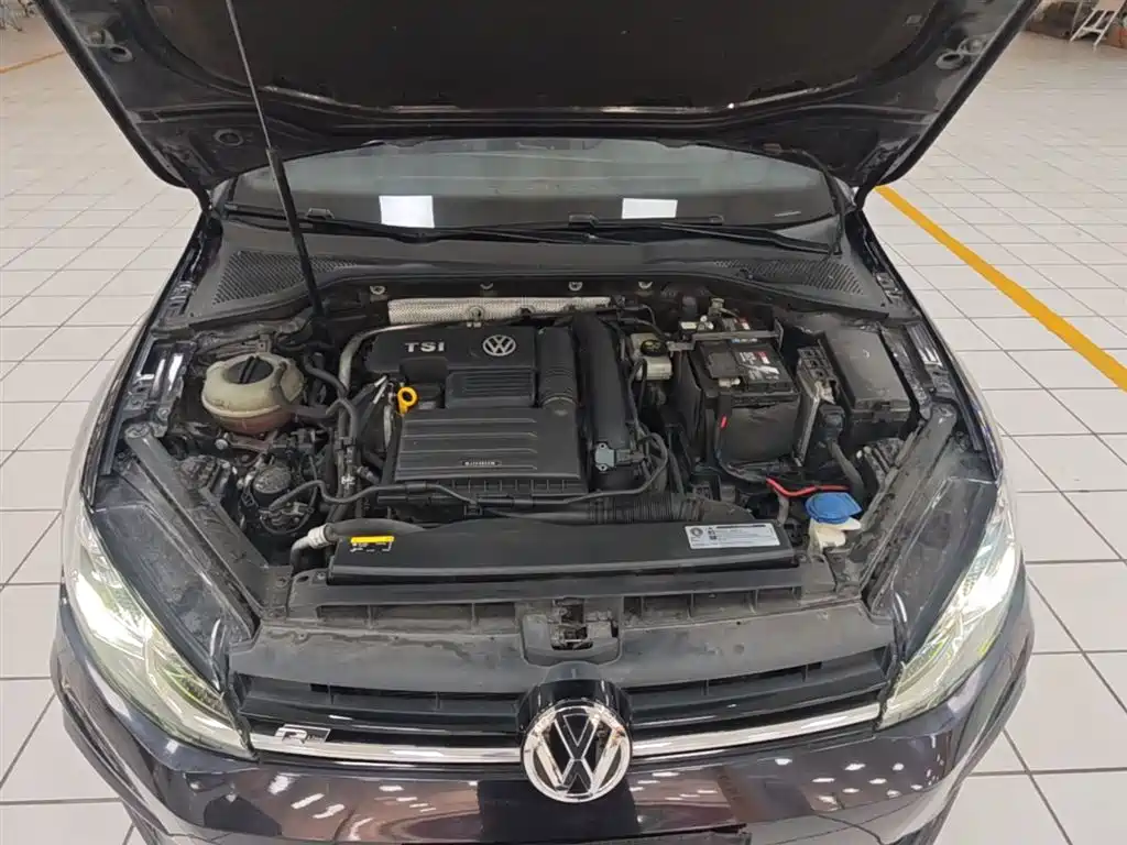Volkswagen Golf 2020 280TSI DSG R-Line фото 20