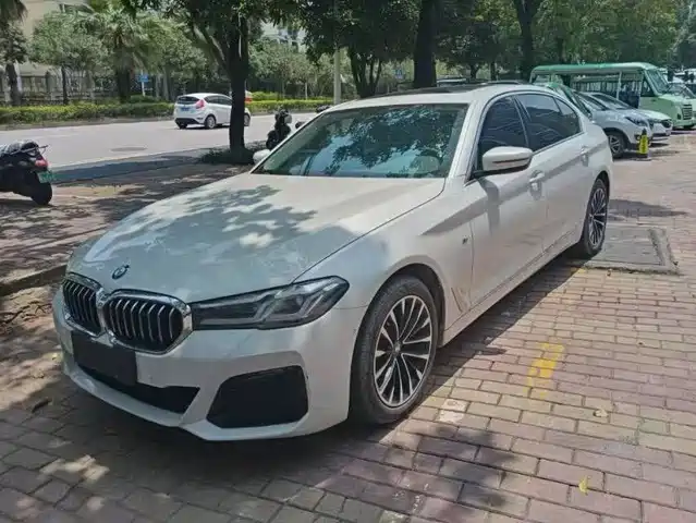 BMW 5 Series 2019
