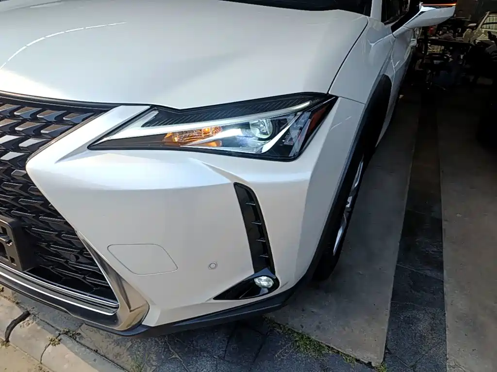 Lexus UX 2021 2020 260h Explore Fun Edition