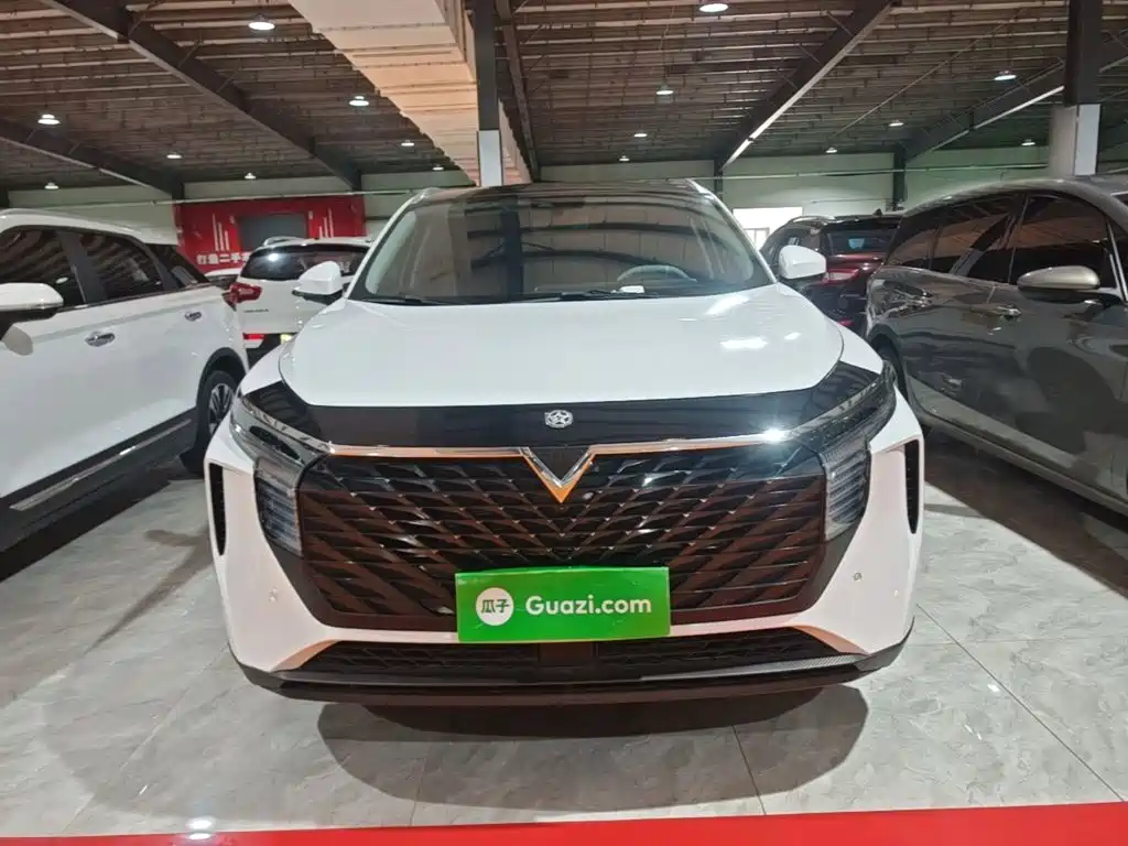 Venucia Big V 2022 2021 260T King Edition