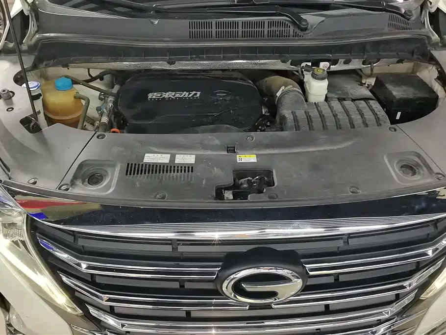 GAC Trumpchi Trumpchi M8 2021 Leading Show Series 390T Prestige Edition фото 10
