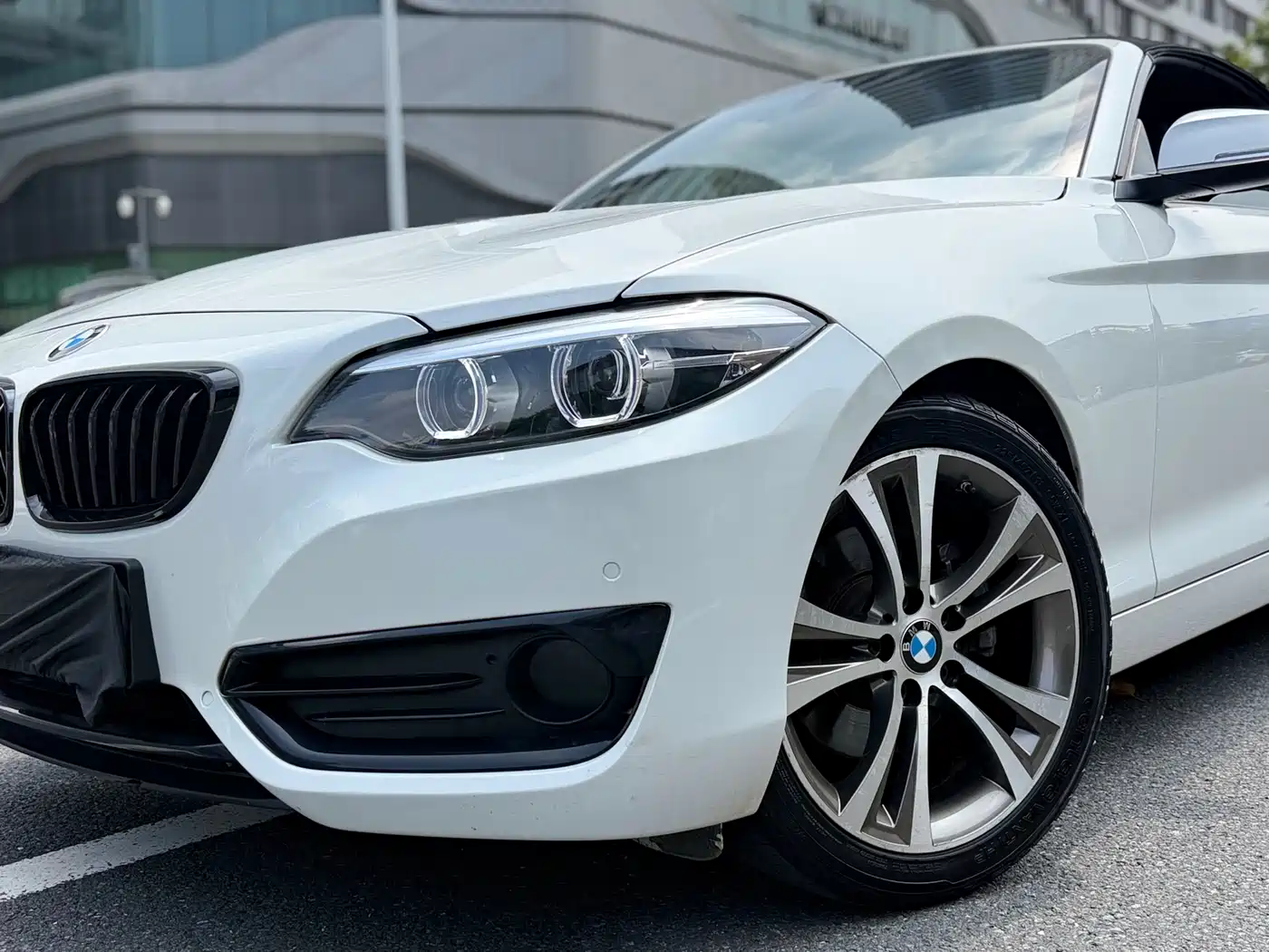 BMW 2 Series (Import) 2019 225i Convertible Coupe Sport Design Package фото 8