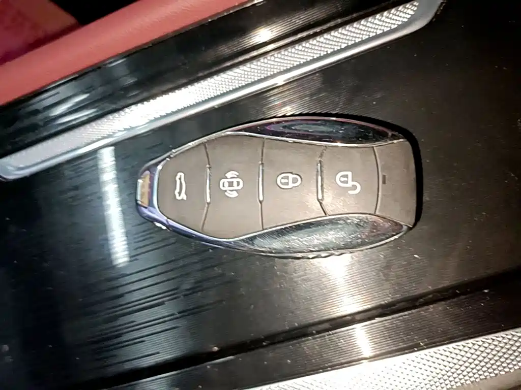 Hongqi H5 2023 2.0T Auto Smart Connect Flag Comfort фото 9