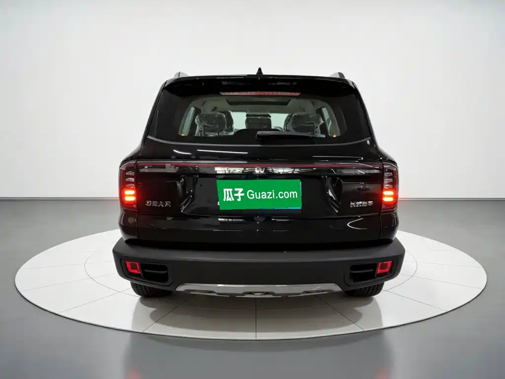  Haval Haval Big Dog 2026 Model 1.5T High Configuration 6