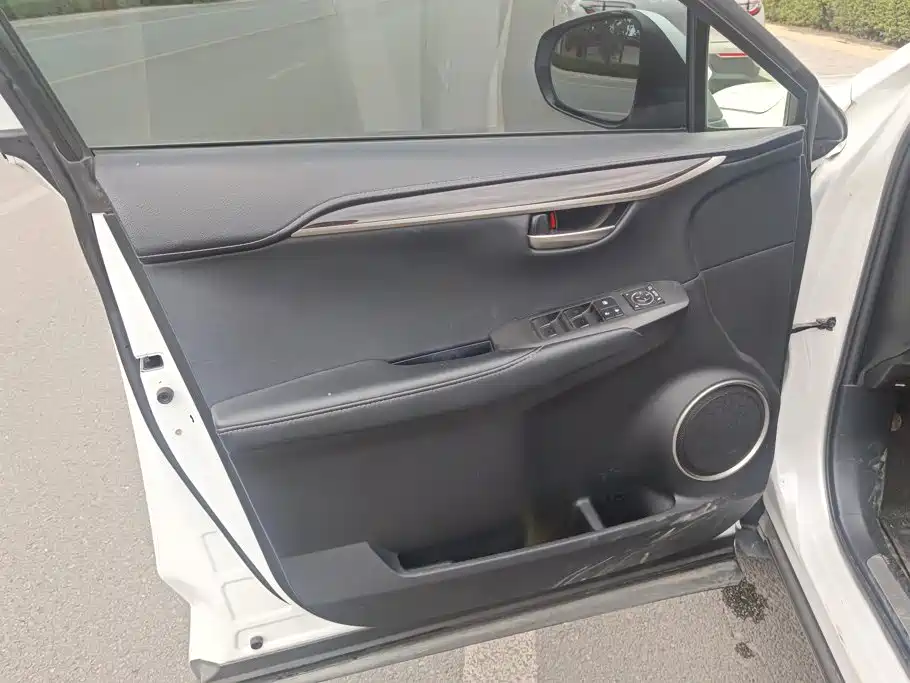 Lexus NX 2015 2015 300h AWD F SPORT