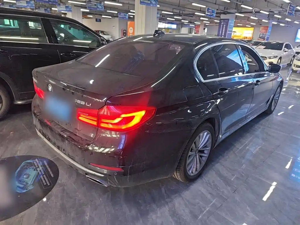 BMW 5 Series 2020 525Li Luxury Package фото 7