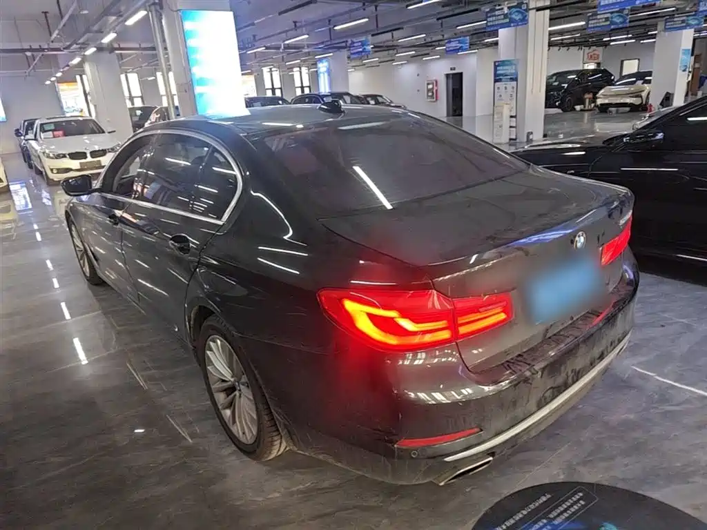BMW 5 Series 2020 525Li Luxury Package фото 5