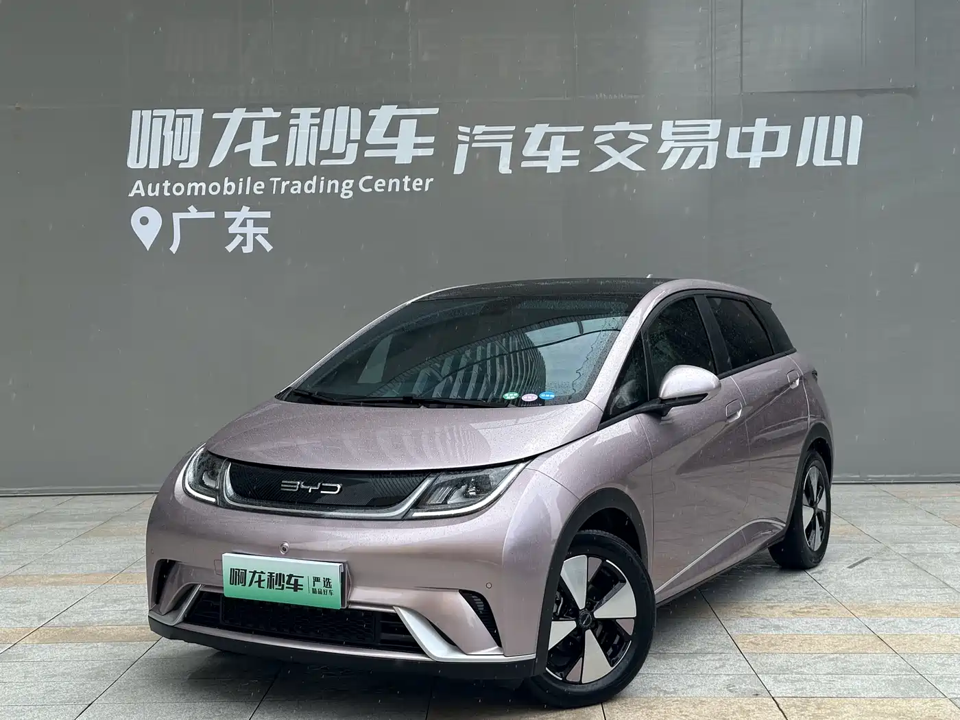 BYD Dolphin 2023 420km Fashion Edition