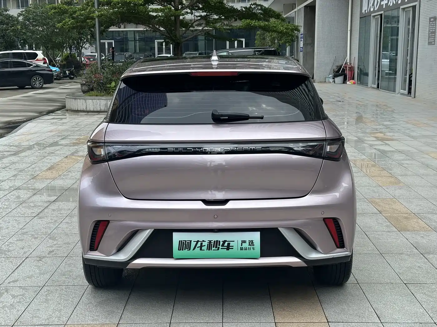 BYD Dolphin 2023 420km Fashion Edition фото 5