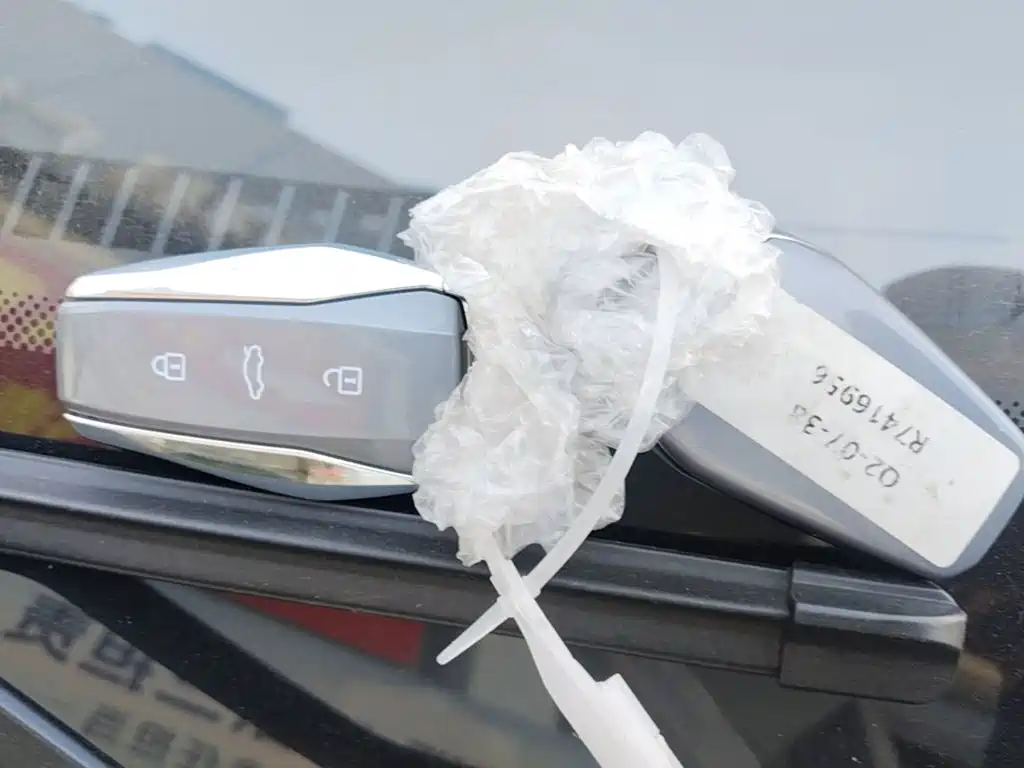 JAC Yiwei Yttrium Flower Fairy 2026 2024 Beloved Edition 301km Lite