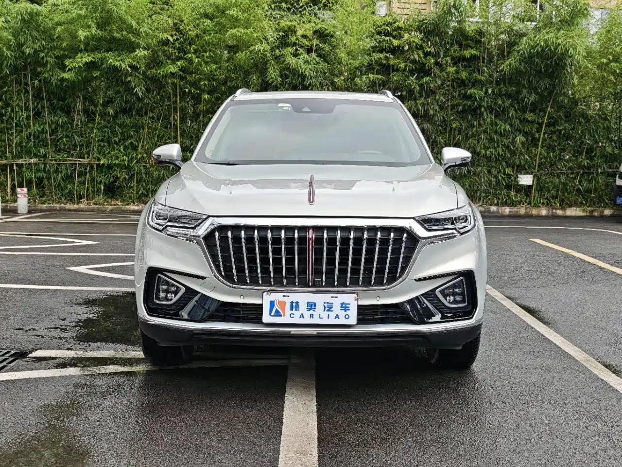 Hongqi HS5 2019 2.0T Smart Connect Enjoy Edition фото 3