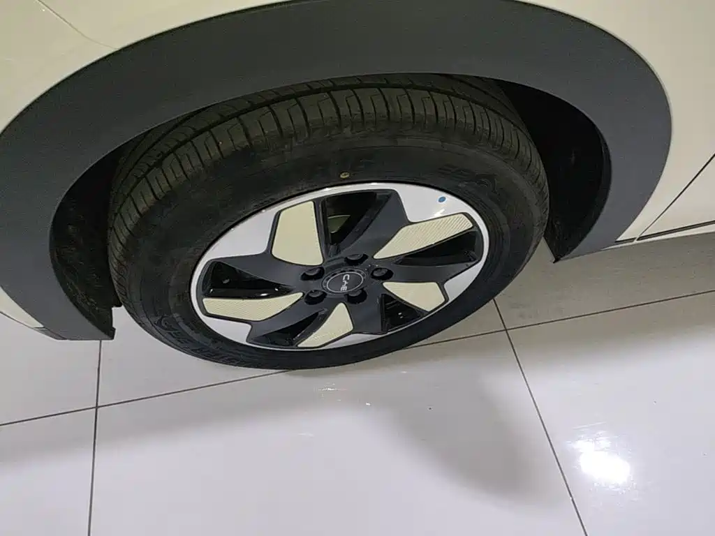 BYD Dolphin 2026 2025 420km Freedom Edition