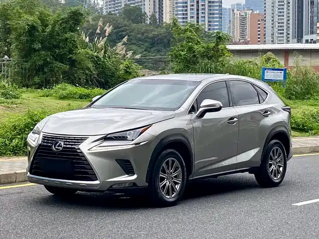  Lexus Lexus NX 2020 200 FWD Fengyi Edition China VI