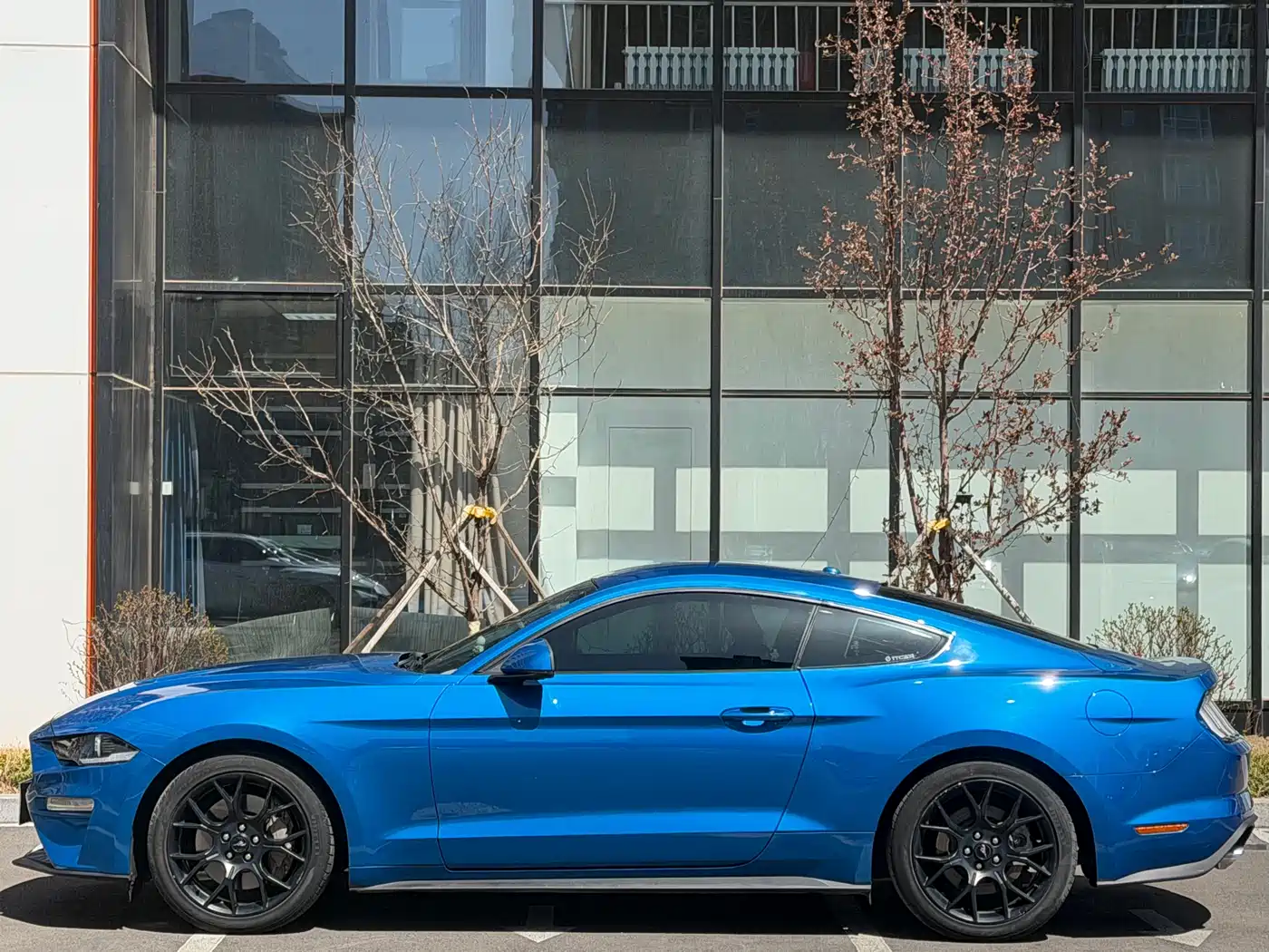 Photo 7 - Ford Mustang