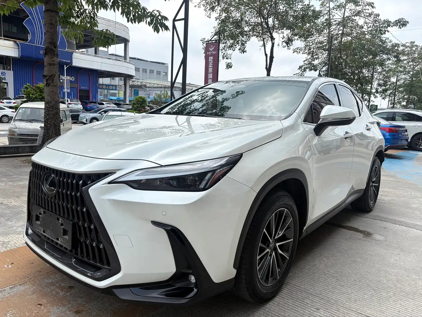 Lexus NX 2022 260 FWD Joy Creation Edition