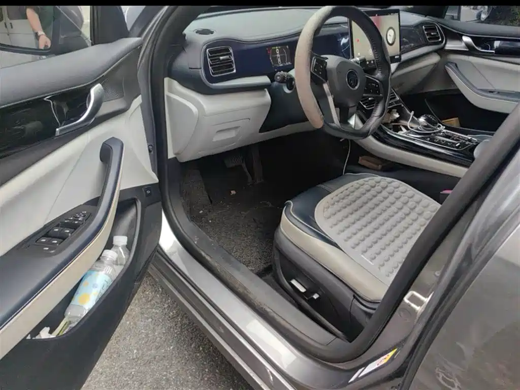 BYD Qin PLUS 2021 DM-i 55KM Flagship фото 14
