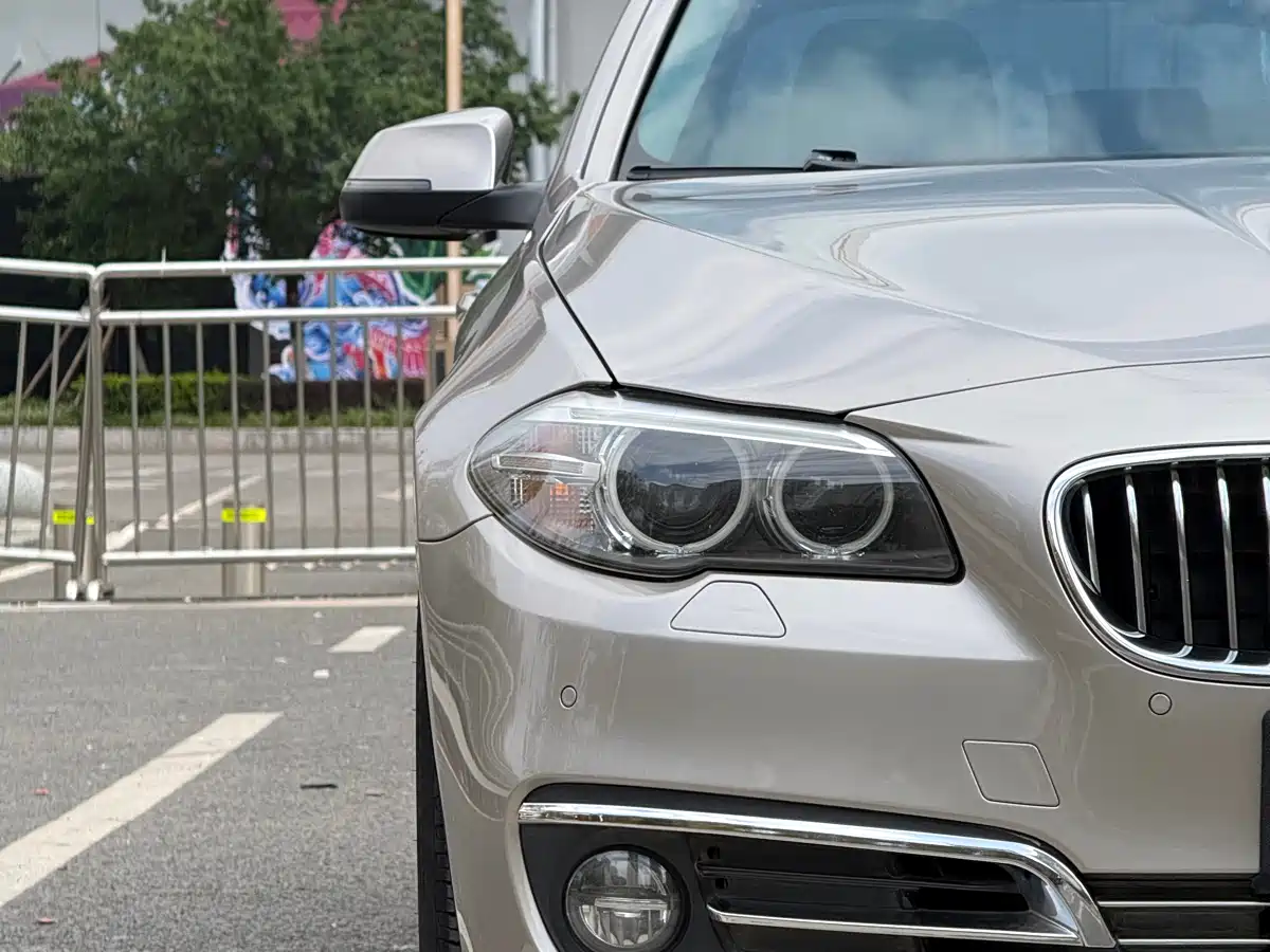 BMW 5 Series 2013 520Li Elegance фото 3