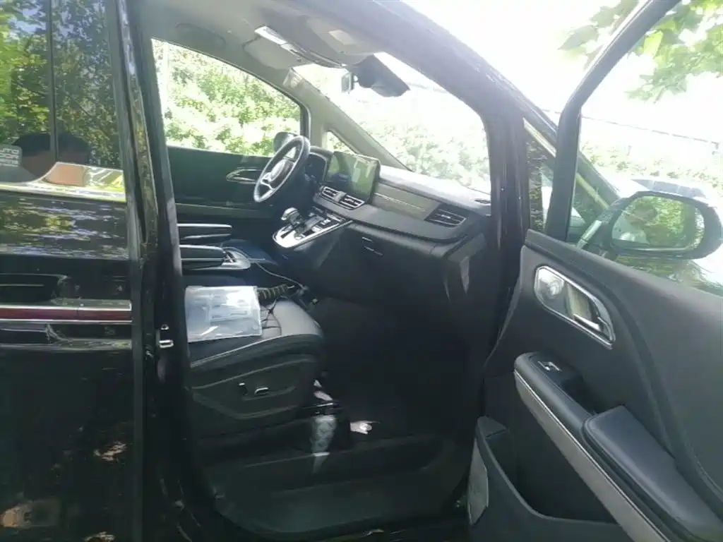 Hongqi HQ9 PHEV 2024 Model 2.0T AWD Business Edition фото 23
