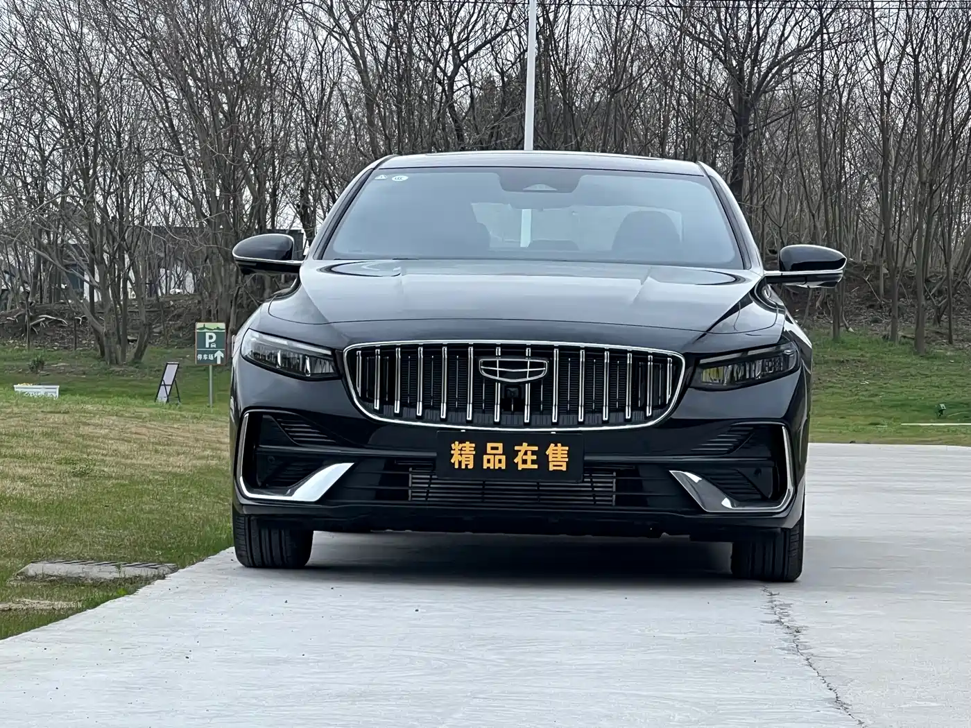 Фото 2 - Geely Xing Rui