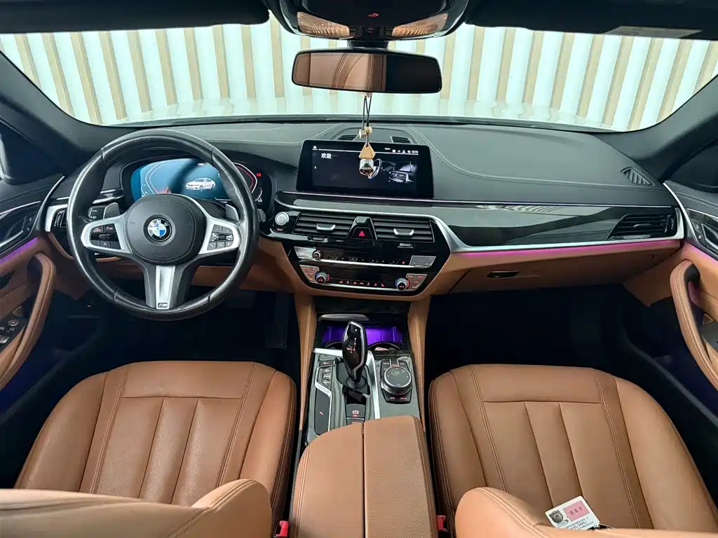 BMW 5 Series 2020 530Li Leading M Sport Package фото 10