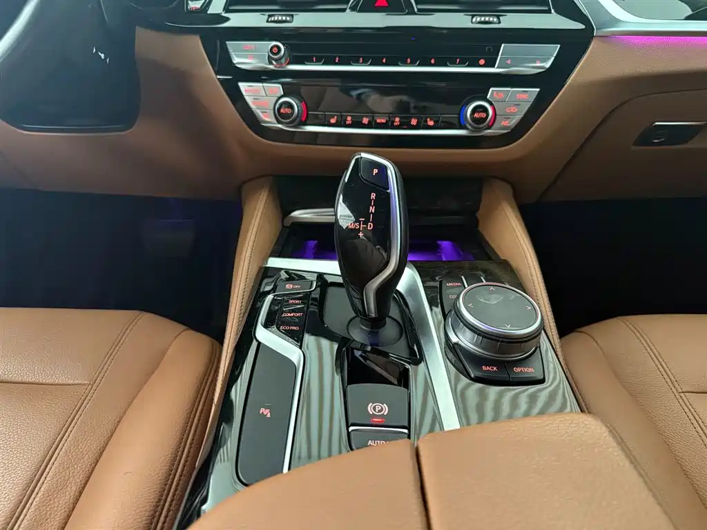 BMW 5 Series 2020 530Li Leading M Sport Package фото 11