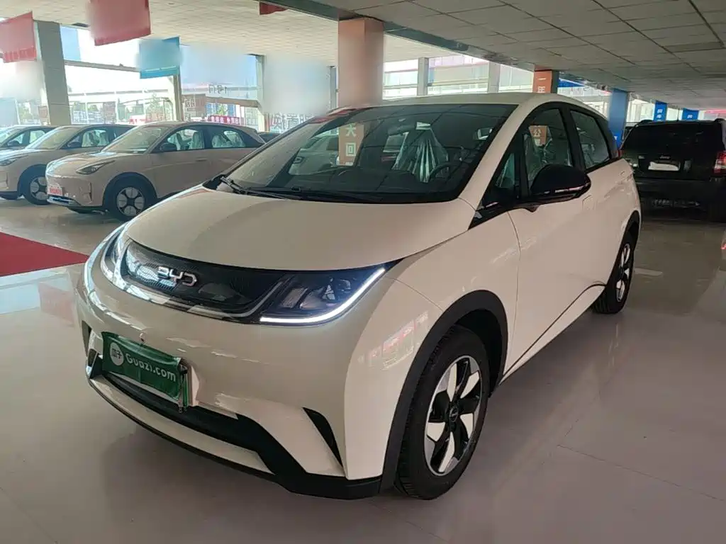 BYD Dolphin 2026 2025 420km Freedom Edition
