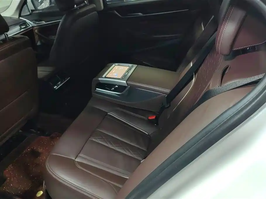 BMW 5 Series 2018 Facelift 530Li xDrive Luxury Package фото 11