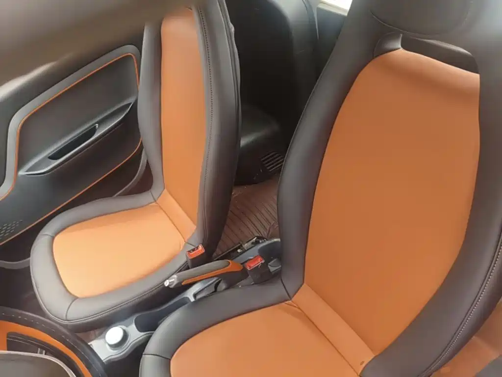 Baojun E100 2019 2019 250KM Smart Edition