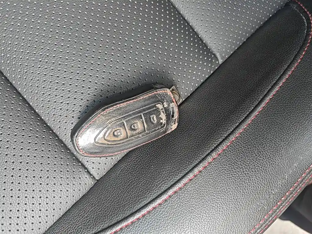Leopaard CS10 2017 2017 Model 2.0T Automatic Luxury Edition