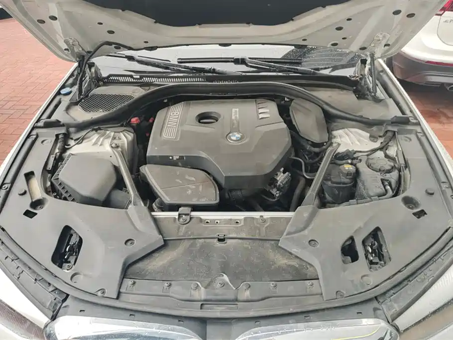 BMW 5 Series 2018 528Li Launch Special Edition фото 10