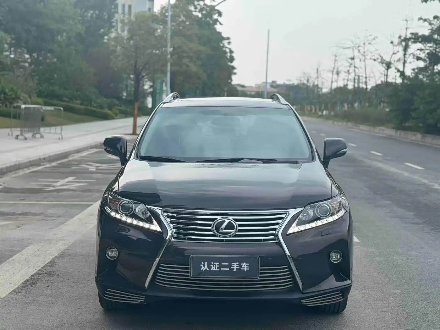 Lexus RX Classic 2013 270 Elite фото 2