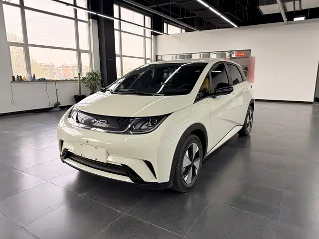 BYD Dolphin 2023 420km Freedom Edition
