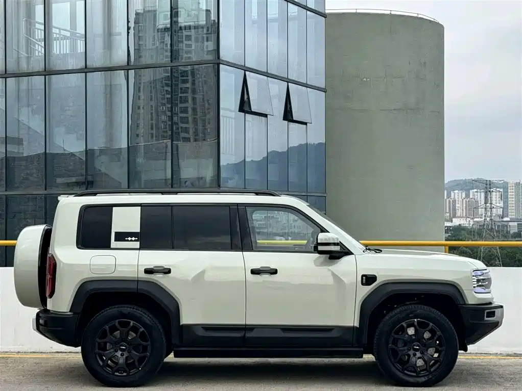 FANG CHENG BAO LEOPARD 5