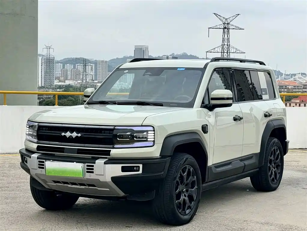 FANG CHENG BAO LEOPARD 5