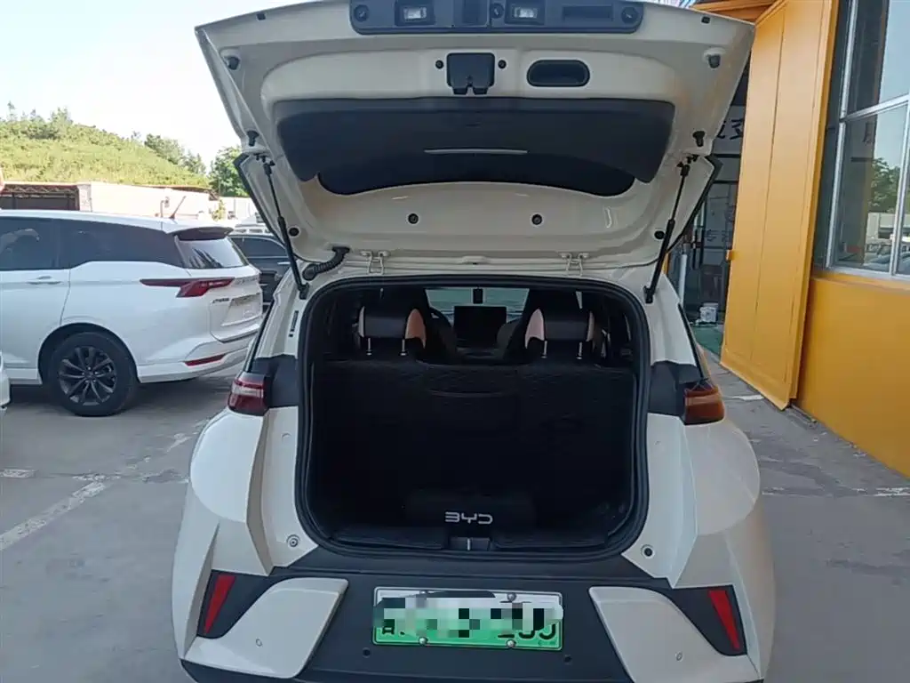 BYD Seagull 2025 Smart Drive Edition 305km Freedom Version фото 19