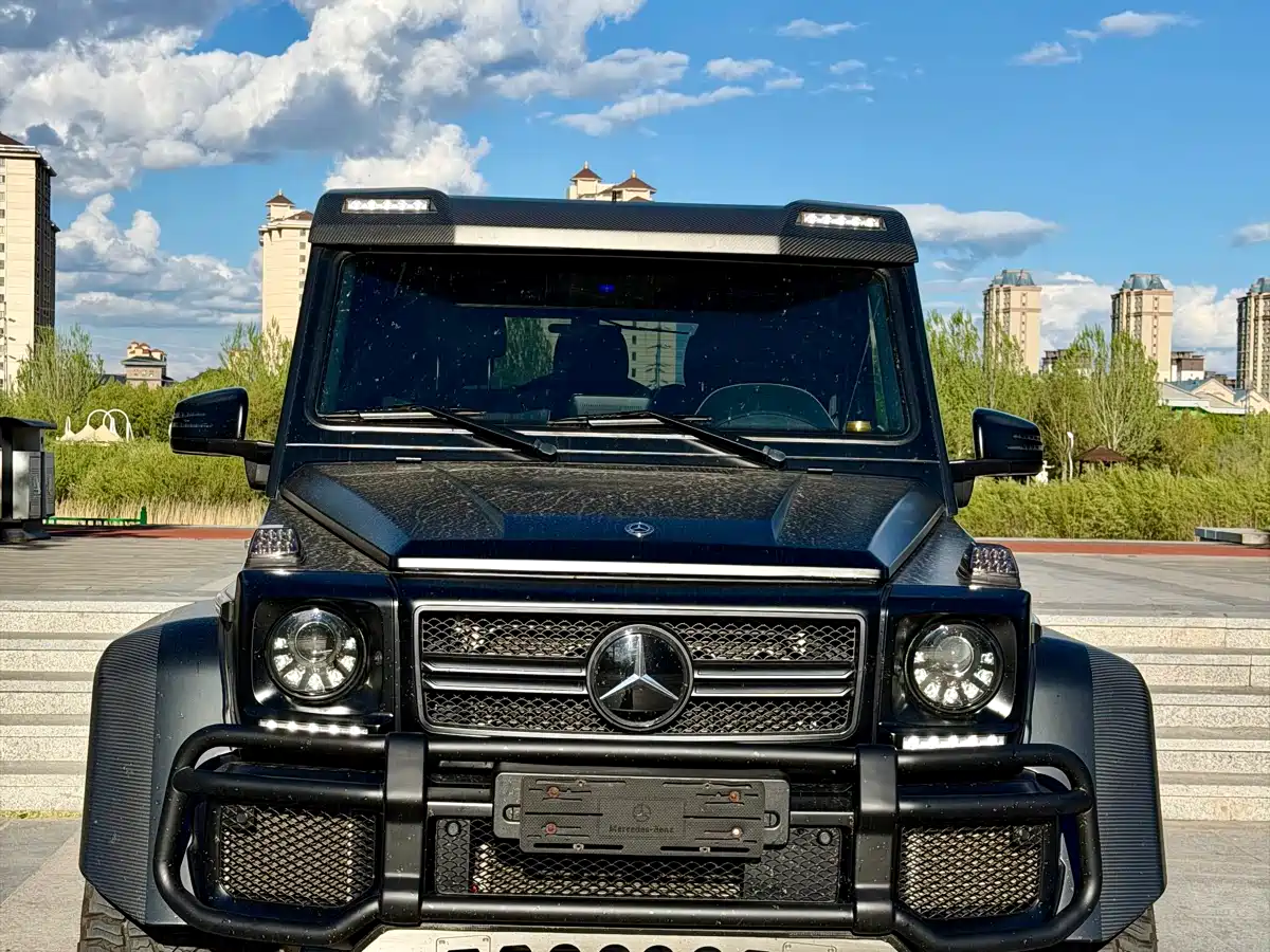 Mercedes-Benz G-Class 2017 G 500 фото 2