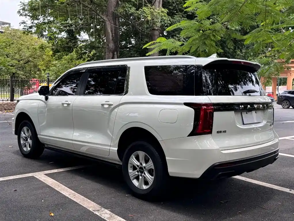 Haval H5 2023 2.0T Automatic 2WD Elite Edition Petrol фото 11