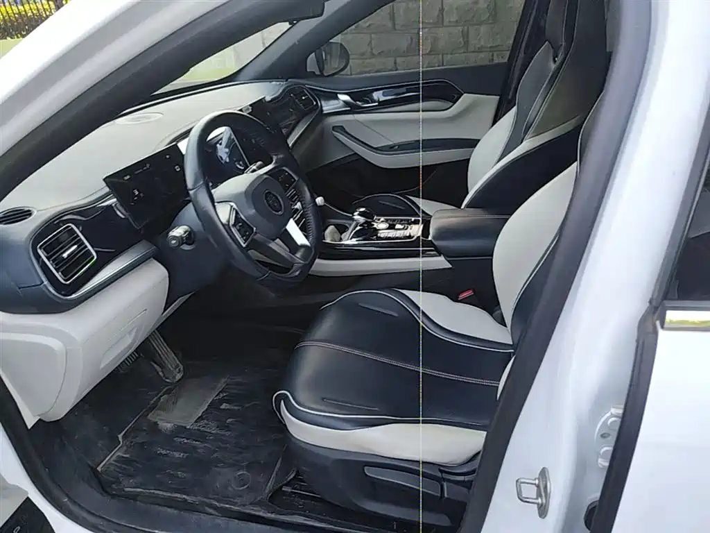 BYD Qin PLUS 2023 Champion Edition DM-i 120KM Leading Type фото 15
