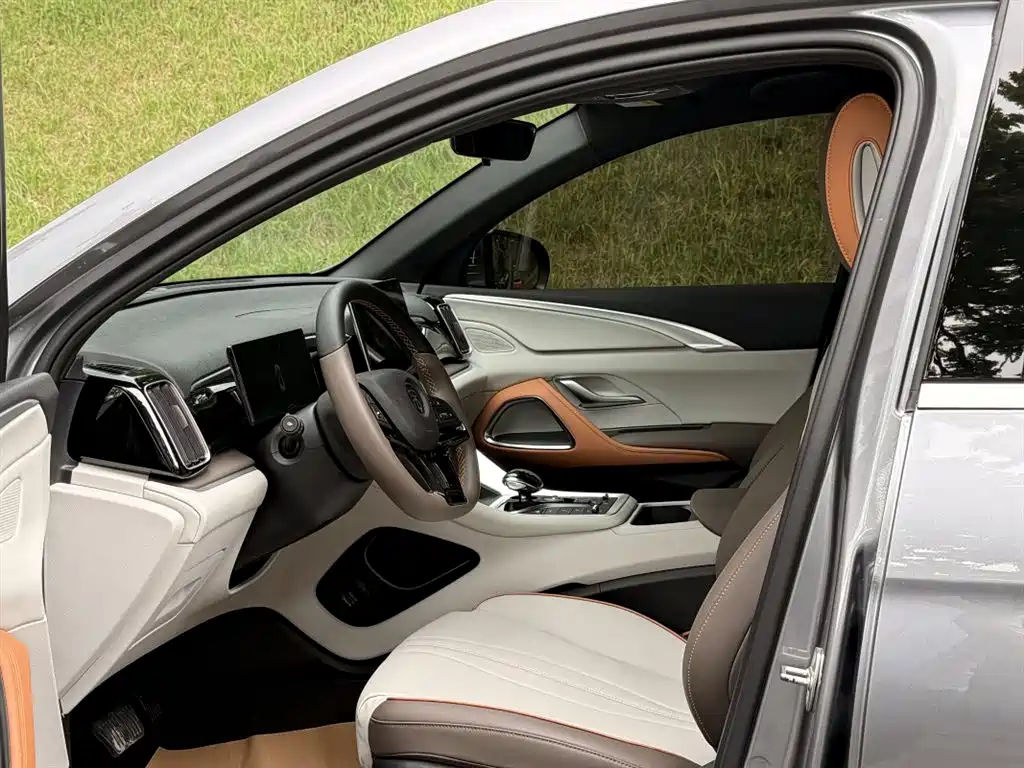 BYD Song Pro New Energy 2022 DM-i 51km Luxury фото 7