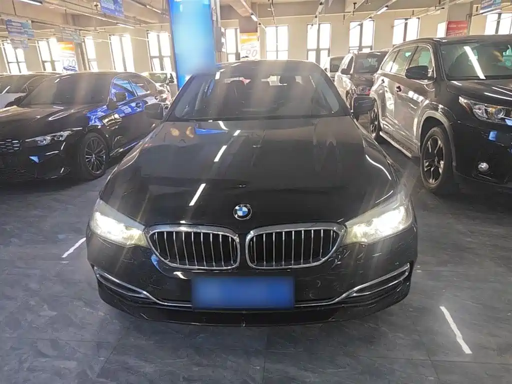 BMW 5 Series 2020 525Li Luxury Package фото 3