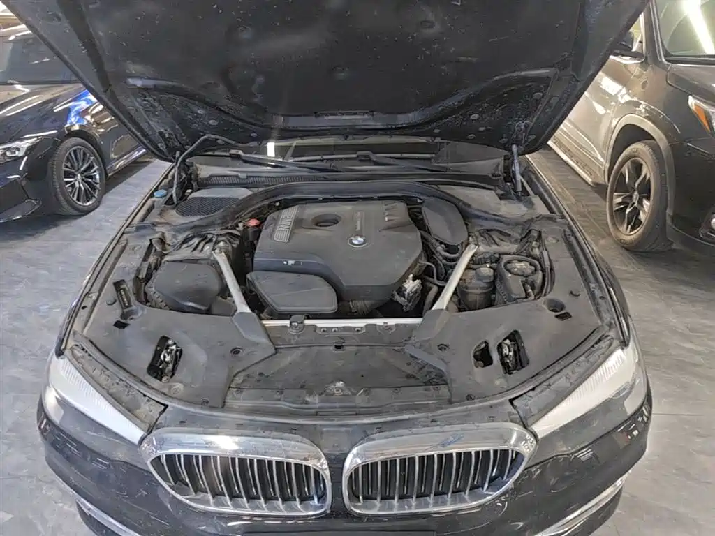 BMW 5 Series 2020 525Li Luxury Package фото 20