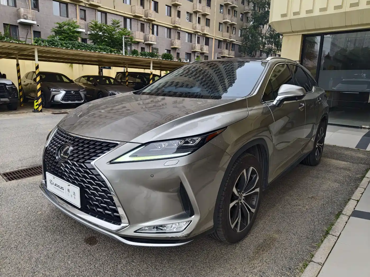 Lexus RX 2020 300 4WD Elegance Edition China VI