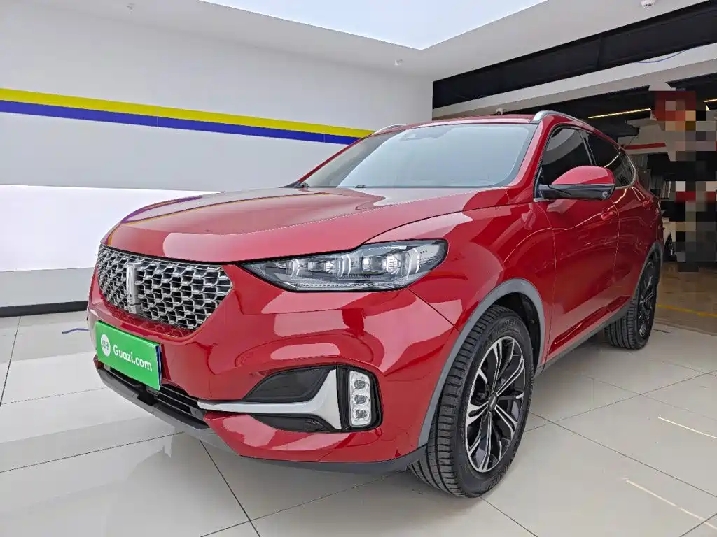 2021 WEY VV6