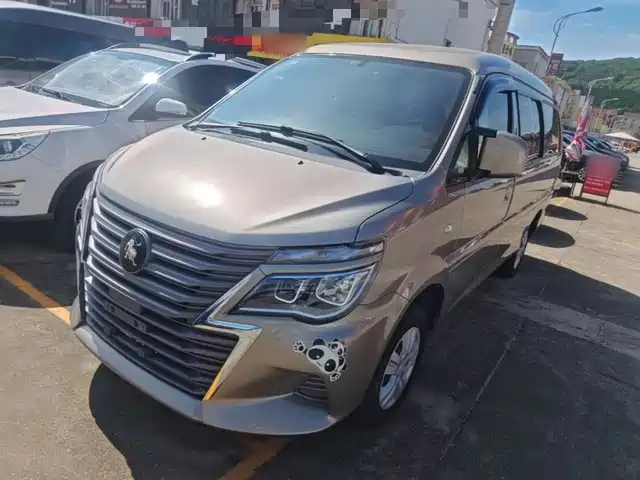 Dongfeng Fengxing Lingzhi 2025