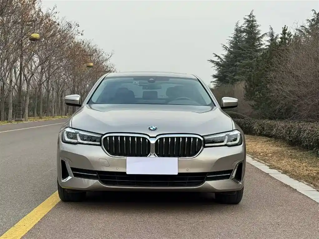 BMW 5 Series 2022 530Li Leading Luxury Package фото 2