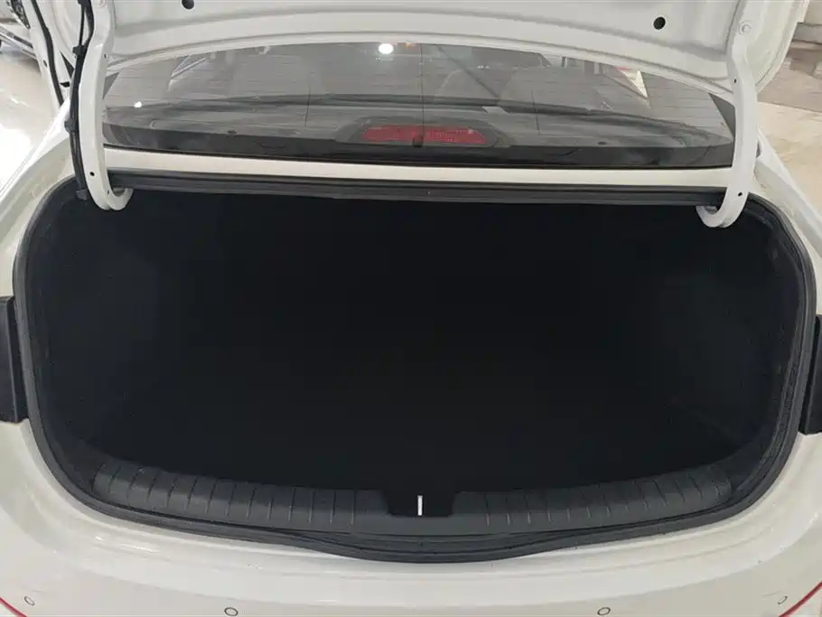 Hyundai Elantra 2018 1.6L Automatic Pleasing Edition GL China VI фото 4