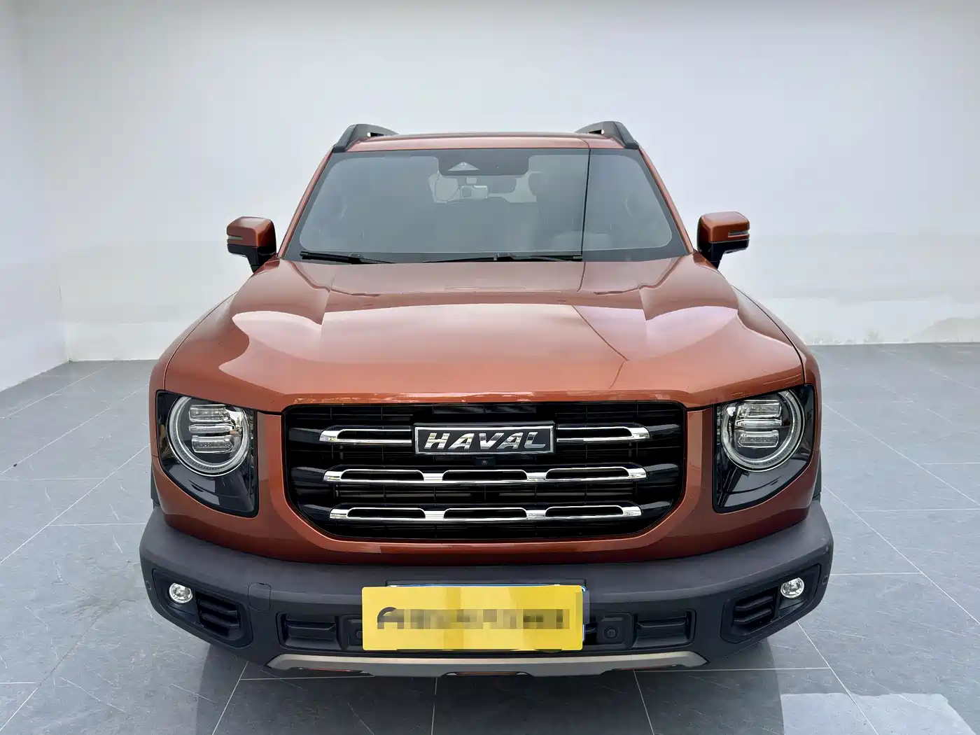 Haval Big Dog 2021 1.5T DCT 2WD Border Collie Edition фото 2