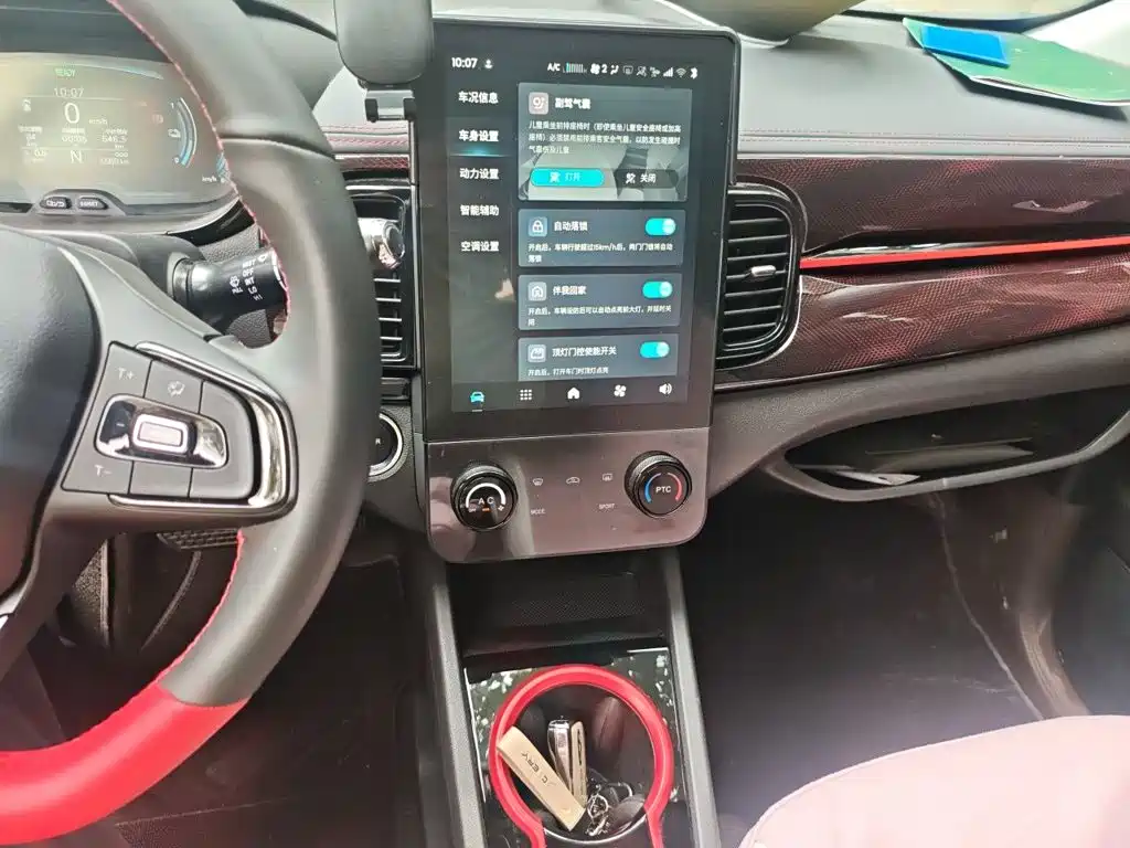 QQ New Energy Little Ant 2025 2024 251km Passion Edition